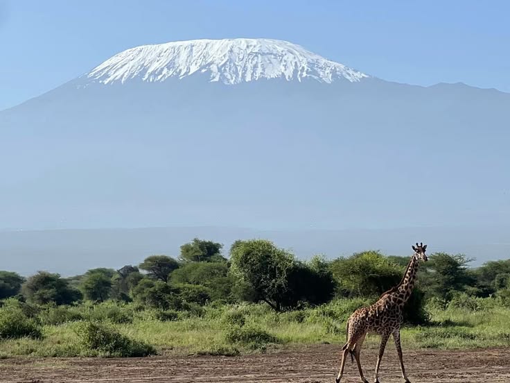 3-Day Amboseli Private Safari with Mt Kilimanjaro View